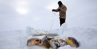 NAZİK GÖLÜNDE SAZAN AVI