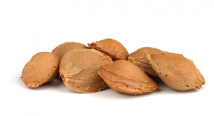 Adilcevaz'dan Marmaris'e kayısı çekirdeği