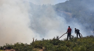 Bitlis’teki orman yangını rüzgarın etkisiyle büyüdü  