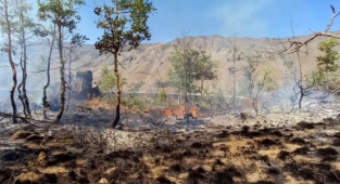 Nemrut Kalderası'nda çıkan yangın kontrol altına alındı