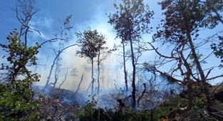 Nemrut Krater Gölündeki yangım kontrol altına alındı