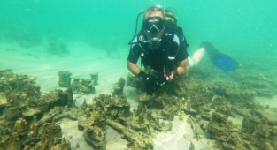 Van Gölü'nde yeni mikrobiyalitler keşfedildi   