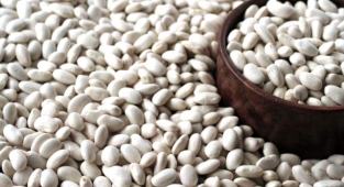 BİTLİS KURU FASULYE ÜRETİMİNDE TÜRKİYE ÜÇÜNCÜSÜ