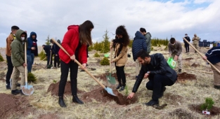Ahlat’ta şehit öğretmenler anısına fidan dikildi