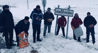 Gezginler bu kez sokak hayvanları için yürüdü