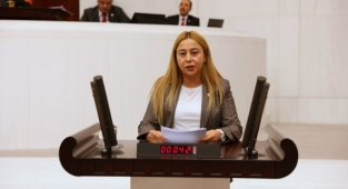 MHP’DEN AHLAT’A ÜLKENİN EN BÜYÜK “AT HARASI” TEKLİFİ