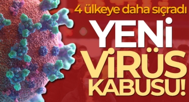 Maymun çiçeği virüsü 4 ülkeye daha sıçradı