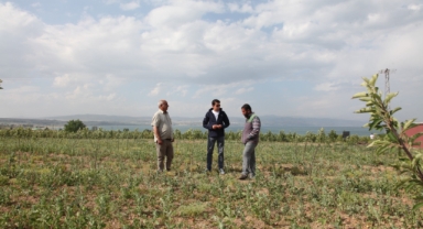  AHLAT’TA 29 ÇİFTÇİYE KAPAMA ELMA BAHÇESİ KURULDU