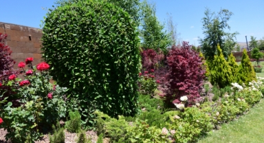 Ahlat’ta ilk defa 41 yeni bitki ve ağaç türü yetiştirildi