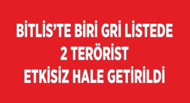 Bitlis’te biri gri listede 2 terörist etkisiz hale getirildi