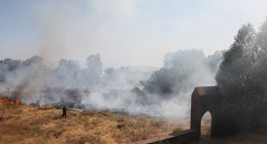 Ahlat’taki tarihi mezarlıktaki yangın büyümeden söndürüldü 