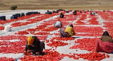 Bitlis’ten Amerika ve Avrupa’ya kurutulmuş domates