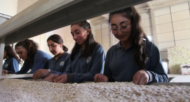 Ahlat’ta tarım bölümü öğrencilerine uygulamalı eğitim veriliyor