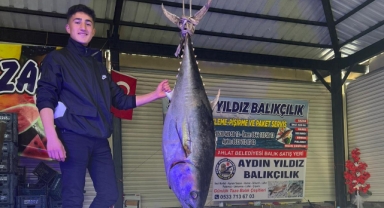 DEV ORKİNOS BALIĞI İLGİ ODAĞI OLDU