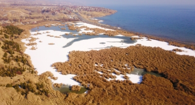 Ahlat’taki kuş cennetinin yüzeyi kısmen dondu