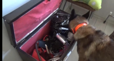 Bitlis'te narkotik operasyonunda 12 kişi tutuklandı