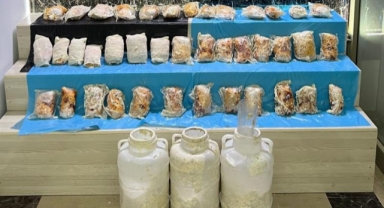 Bitlis’te 9 kilo 317 gram esrar ele geçirildi