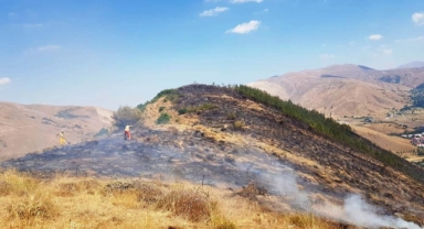 Bitlis’te 12 hektarlık alanda örtü yangını çıktı