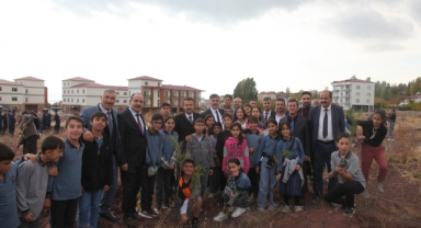 Ahlat’ta 2023 adet çam fidanı dikildi