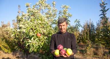 AHLAT'TA KÖYÜNDE KURDUĞU ELMA BAHÇESİNDEN 180 TON VERİM ALDI