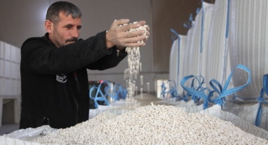 AHLAT SERTİFİKALI KURU FASULYE ÜRETİMİNDE TÜRKİYE BİRİNCİSİ