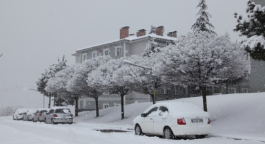 AHLAT’TA KAR YAĞIŞI ETKİLİ OLDU