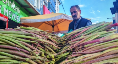 Bitlis’te uşkun fiyatları sert düştü