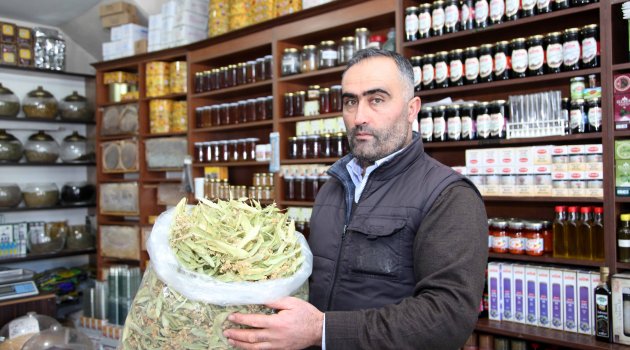 YERLİ IHLAMUR PİYASALARDA